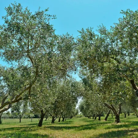 Haus Bozac 100s *